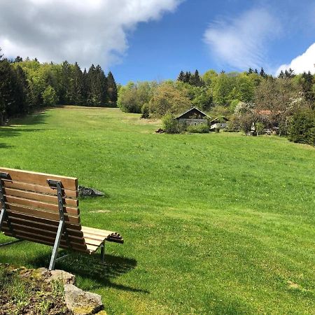 Haus An Der Bergwiese Waldkirchen Exteriör bild